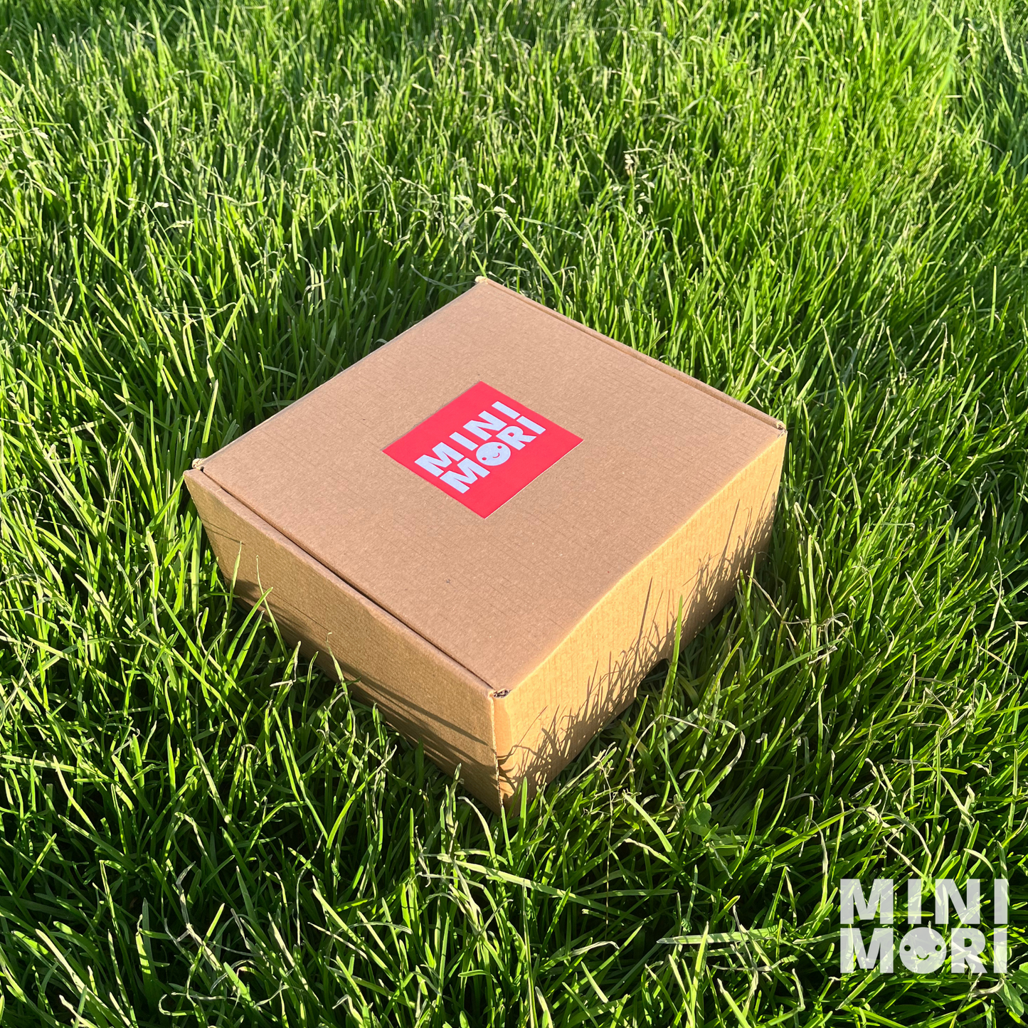 MiniMori – Boyanabilir Anı Figürü